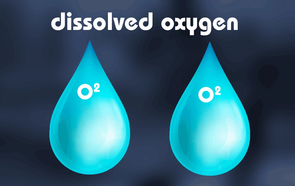 سنسور اکسیژن محلول آب